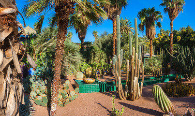 Jardin Majorelle, Morocco, Marrakesz