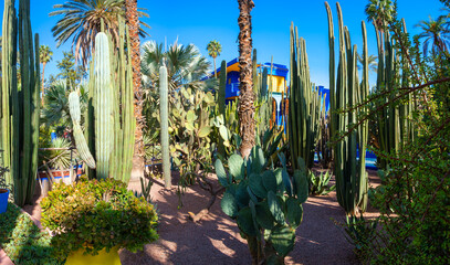 Jardin Majorelle, Morocco, Marrakesz