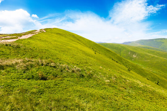 alpine meadows in carpathian mountains of ukraine in summer. beautiful view of rolling hills with lush green grass under blue sky on a sunny day. travel destination background of borzhava ridge, gemba