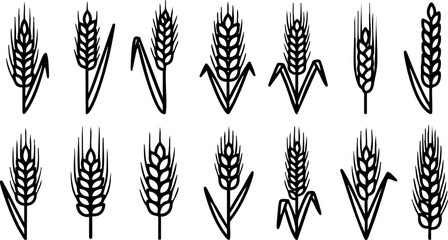 Obraz premium Wheat ears vector silhouette set simple black graphic collection farm agriculture design