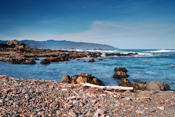 Storm debris on Owhiro bay after the storm