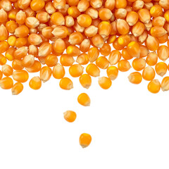 Heap of raw popcorn kernels isolated on transparent background, ready to be popped