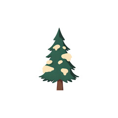 Cozy evergreen tree with fresh snow decorations