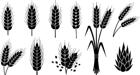 Obraz premium Wheat ears set black silhouettes different shapes and styles isolated on white background vector illustration