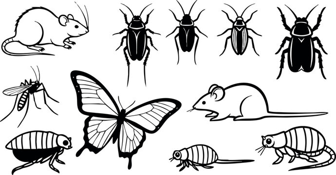 Collection of small insects rodents and butterfly vector illustration in black and white style