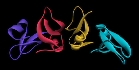 Beta-Defensin-2 (BD-2) antimicrobial peptide molecule. Used in immune defense and skin protection. Ribbon cartoon protein structure with colored chains on black background. Illustration