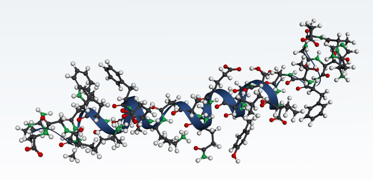 GLP-1 (glucagon-like peptide-1) hormone molecule. Involved in glucose regulation, insulin secretion and type 2 diabetes therapy. 3D ball-and-stick model with ribbon helix. 3D rendering. Illustration
