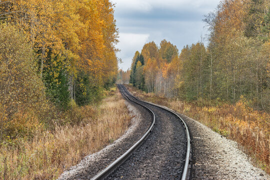 Railway line in the forest.