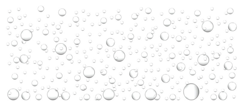 Water bubbles fizzy bubbles. Bubble drops of water Vector illustration.