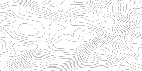 Smooth Curved Topography Lines. Abstract Elevation Contour Background Vector.