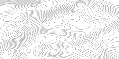 Smooth Curved Topography Lines. Abstract Elevation Contour Background Vector.