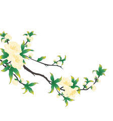 Elegant White Floral Branch PNG for Lunar New Year Packaging and Card Design