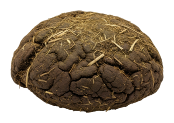 Animal droppings found in nature organic waste isolated on transparent background