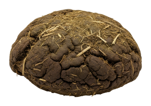 Animal droppings found in nature organic waste isolated on transparent background