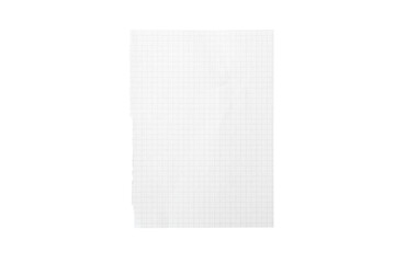 Graph Paper Sheet On White Background, Grid Paper For Notes, Drafting, And School Use