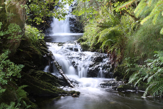 Wildbach im Harz Querformat