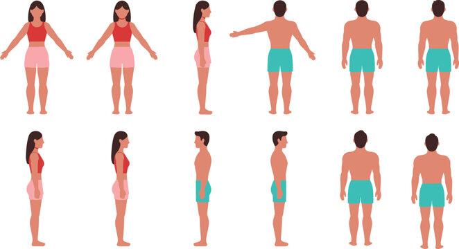 Body Reference Images – Browse 18,403 Stock Photos, Vectors, and Video ...