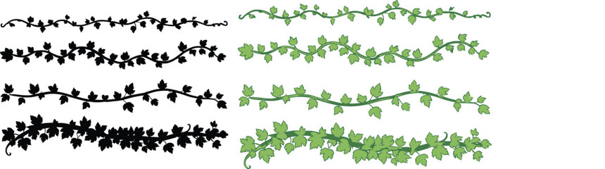 Ivy vine border illustration set featuring leafy decorative elements, floral dividers, plant ornament designs, natural greenery patterns, silhouette and color variations for creative artwork. © Hasem Creative