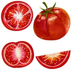 Illustration of hand drawn watercolor clipart set of red tomatoes in various slices 