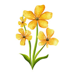 Illustration of yellow hibiscus flower clipart with green stems and leaves in watercolor style