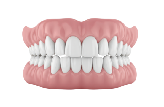 Realistic 3d rendering of a full set of human upper and lower dentures showing perfect white teeth and pink gums, isolated on transparent background