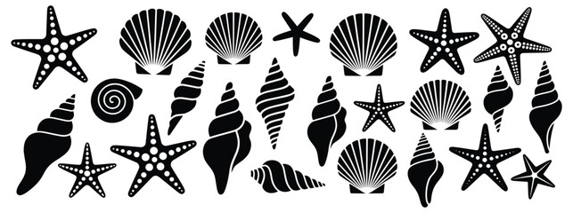Seashells and starfish silhouette vector set, Hand drawn seashells and starfish collection, Black and white vector icons of seashells and starfishes, vector illustration