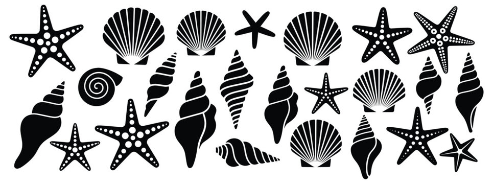 Seashells and starfish silhouette vector set, Hand drawn seashells and starfish collection, Black and white vector icons of seashells and starfishes, vector illustration