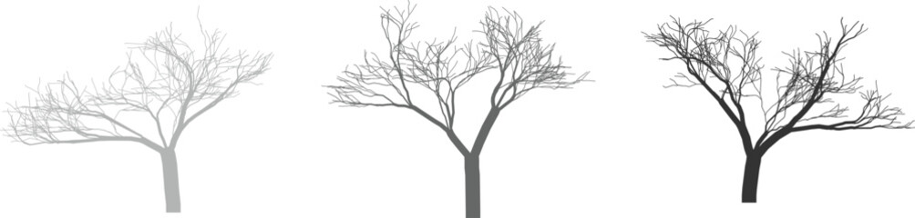 Obraz premium WebAbstract geometric design with bold color accents