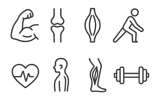 Muscle Health Icons. Muscle health concept linear icon set: flexing arm, joint connection, tendons, stretching, heart pulse, posture, leg muscle, dumbbell , medical precision with