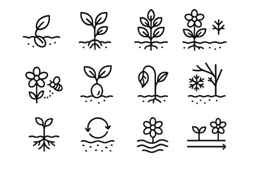 Plant Growth Cycle. Plant Life Rhythm Set linear icon set: germination seed, young shoot, leafy growth, flowering phase, pollination symbol, seed formation, drying leaf, seasonal