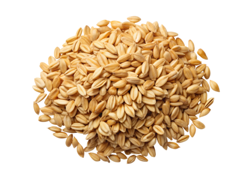 Pile of raw oat groats, healthy breakfast ingredient on transparent background PNG