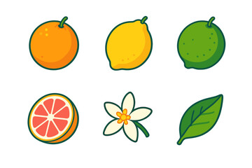 Vibrant Citrus Icons. Citrus Medley flat icons set. orange, lemon, lime, grapefruit, blossom, leaf