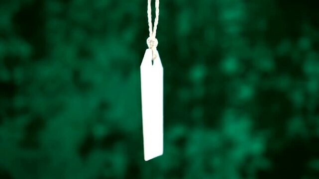 Blank white tag hanging with string on green background.