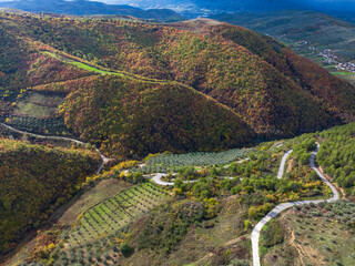 Albania village panoramic drone view olive plantation