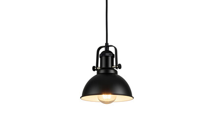Sleek black pendant lamp with vintage Edison bulb gives a modern industrial ambiance