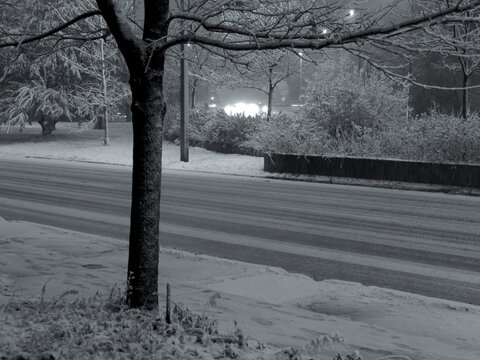 snow covered road
