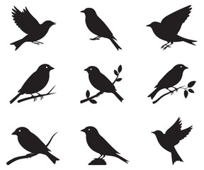 Bird Silhouette Clipart Set – High-Contrast Flying & Perched Bird Icons