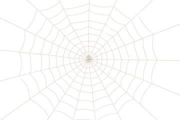 Spiderweb pattern creating a spooky texture for halloween and creepy designs with transparent background