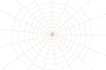 Spiderweb pattern creating a spooky texture for halloween and creepy designs with transparent background