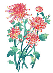 Intricate Asian Chrysanthemum Vector Art for Premium Packaging and Lunar New Year Branding