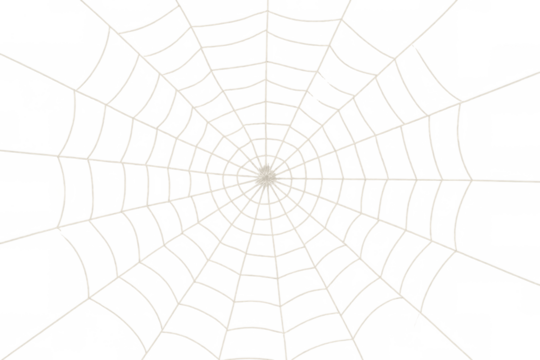 Spiderweb pattern creating a spooky texture for halloween and creepy designs with transparent background