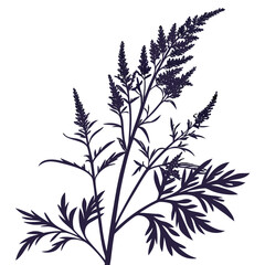 artemisia ludoviciana vector