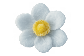 Crafting a soft flower shape with white petals and a yellow fluffy center, handmade felt decoration on transparent background