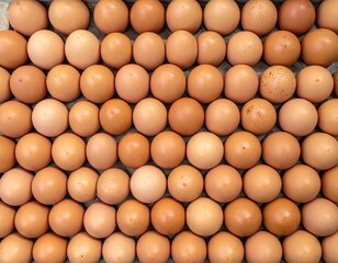Many Brown Eggs in a Carton
