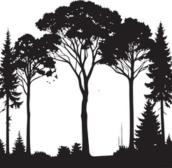Silhouette of diverse trees and foliage against a white background Keywords: forest, trees, nature, silhouette, evergreen, pine, deciduous, woodland, foliage, branches, trunks, landscape, outdoor