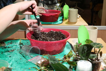 Training event focusing on soil handling in plant multiplication strategies