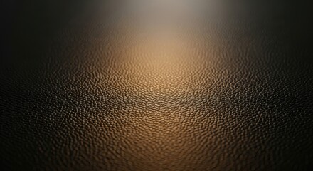 Rich dark leather texture background with soft light highlight