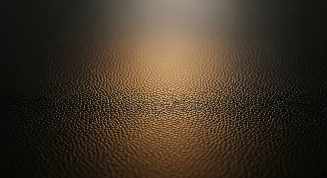 Rich dark leather texture background with soft light highlight