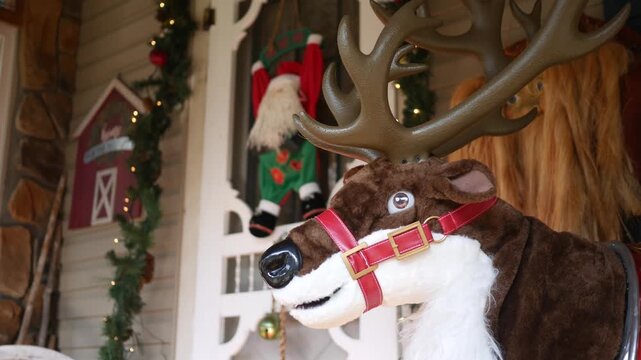 Establishing Filler Shot - Christmas Door with Reindeer Prop