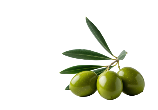 Three plump, brilliant green olives on a delicate branch with dark leaves, resting on transparent linen, blurred background with negative space, concept for healthy eating and natural ingredients